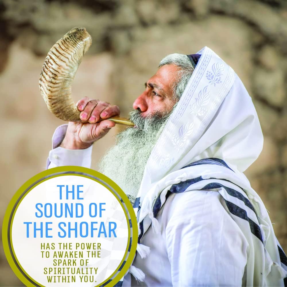 Amazon.com: Holy Voice Kosher Ram Shofar Horn from Israel 16