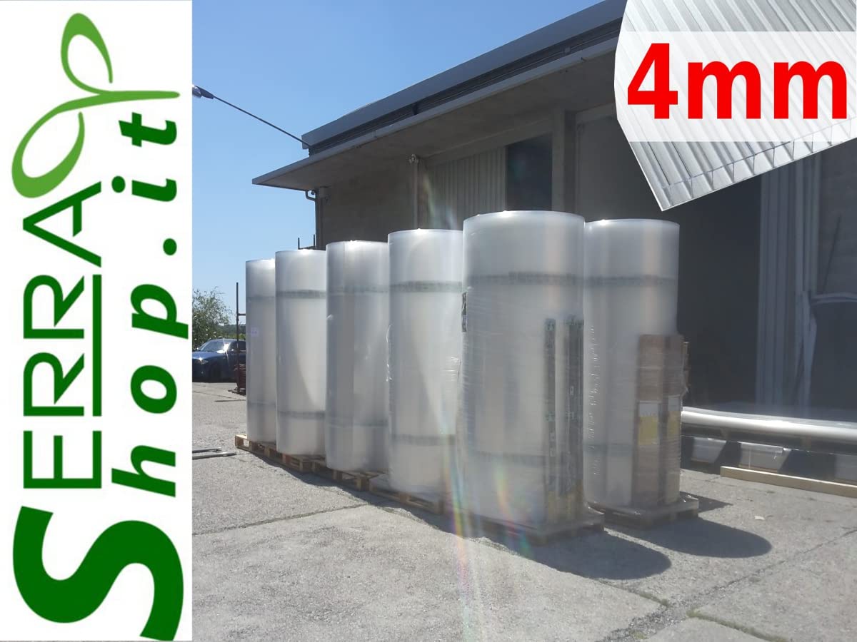 Invernadero policarbonato túnel 3 x 6 m reforzado huerto jardín plantas invernaderos Box 6 x 3 m cenador caseta Prime