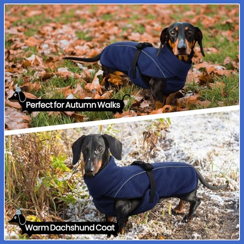 Hjyokuso Dackel Hundemantel M, Warmer Dackels Wintermantels, Warmer Wintermantel für Kleine Hunde, Verstellbare Hundejacke mit Hohem Kragen und Reflektierenden Streifen Marineblau