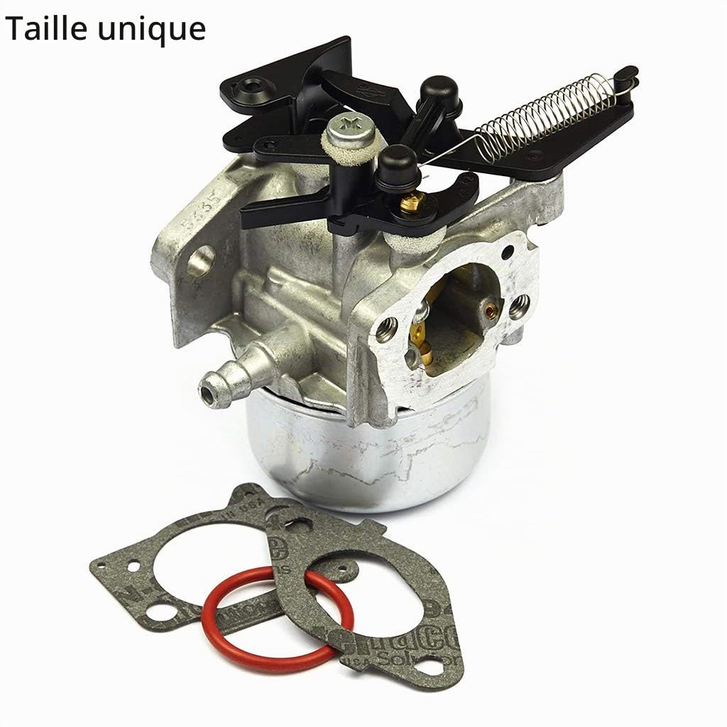 796608 Carburateur Carb pour Briggs Stratton 591137 590948 Moteurs 111000