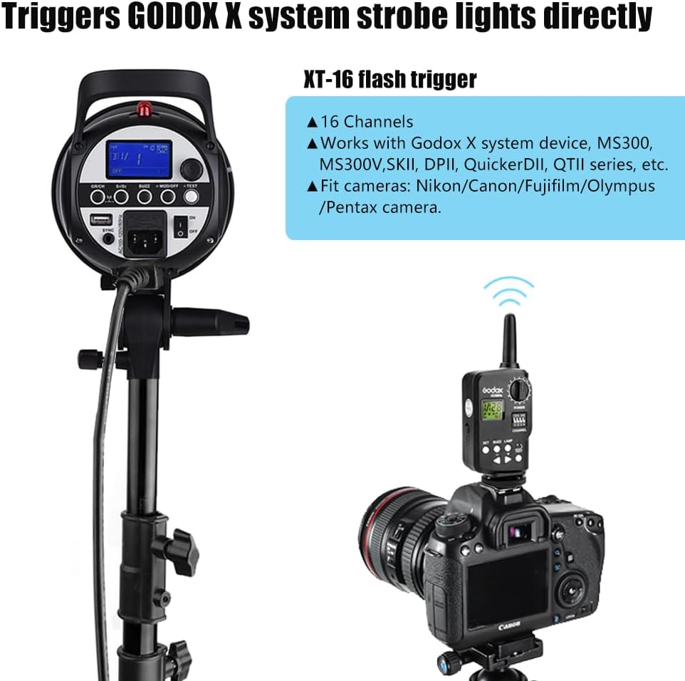 https://m.media-amazon.com/images/I/61r2F0dw9fL._AC_SL1000_.jpg