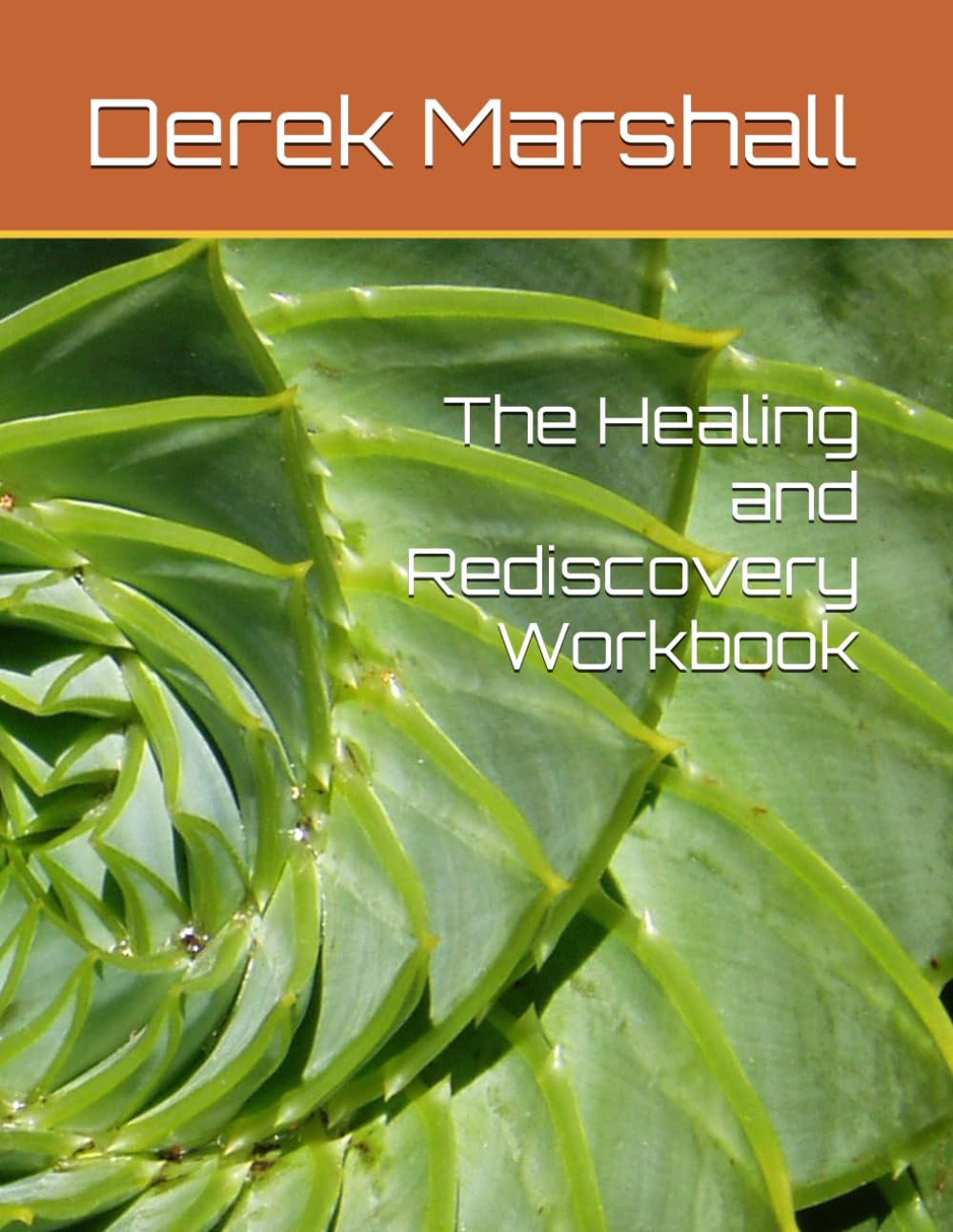 The Healing and Rediscovery Workbook