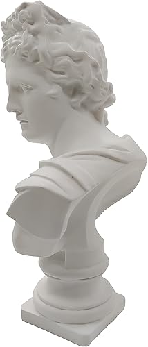 Miniatura 3 de Estatua griega de David de 12.6 pulgadas de busto romano de resina clásica escultura de busto romano para decoración