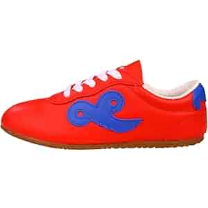 Amazon.com | BUDO SAGA Red Leather Blue Cloud Tai Chi (1418