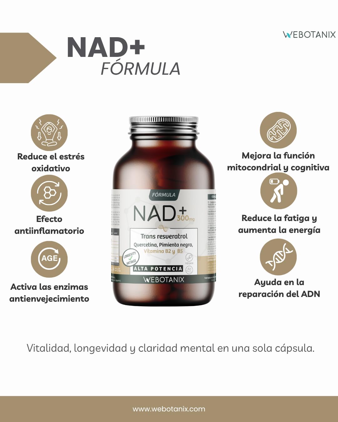 WeBotanix | Fórmula NAD+ con Trans-Resveratrol y Quercetina | 60 Cápsulas | Con Vitaminas B2 y B5 + Piperina | Energía Celular, Reparación y Longevidad | Sin Gluten | Vegano