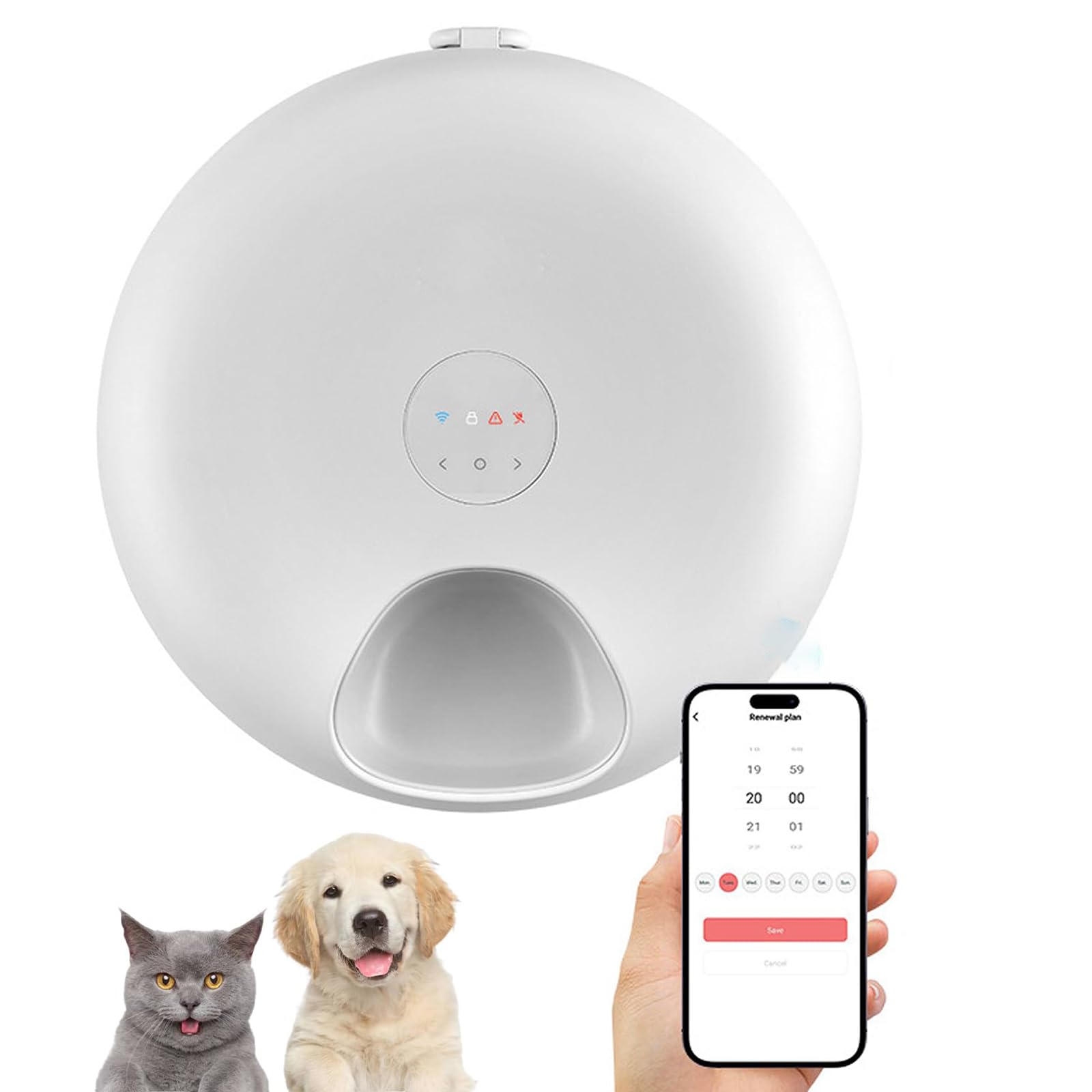 Mangeoire pour animaux intelligente automatique 6 repas pour chat et chien