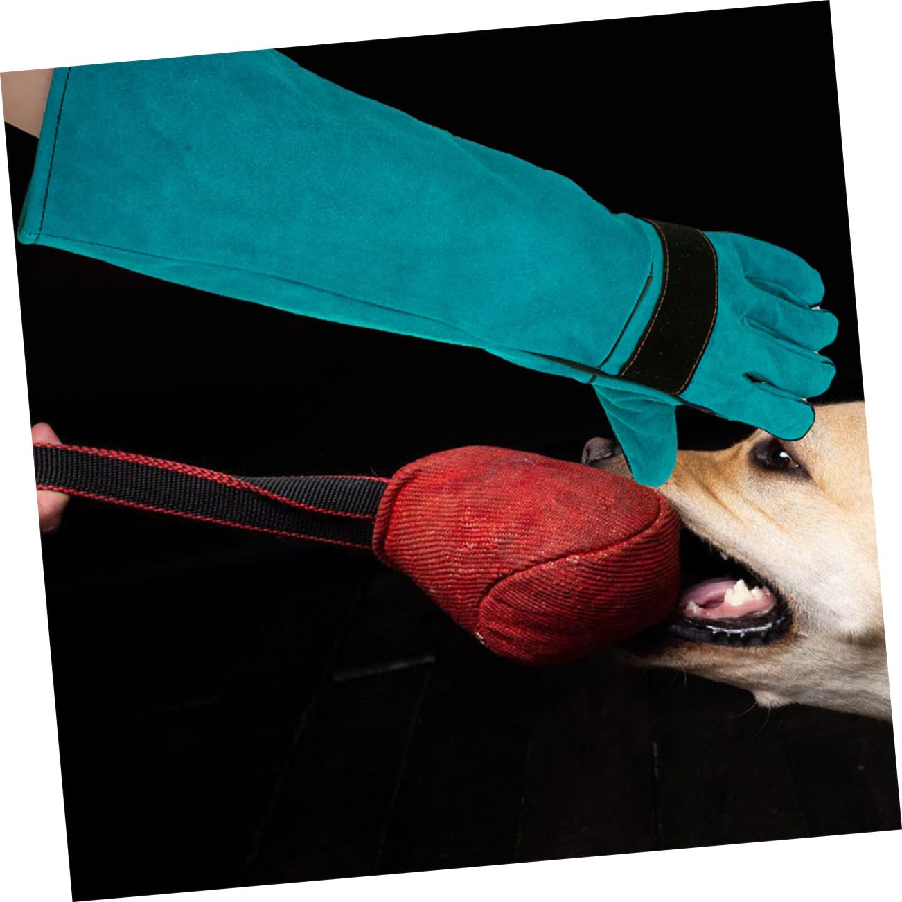YARNOW Guanti Antimorso in Similpelle per Cani e Gatti Protettivi AntiGraffio per Toelettatura Manipolazione Animale Alimentazione Blu Cuciture Protettive