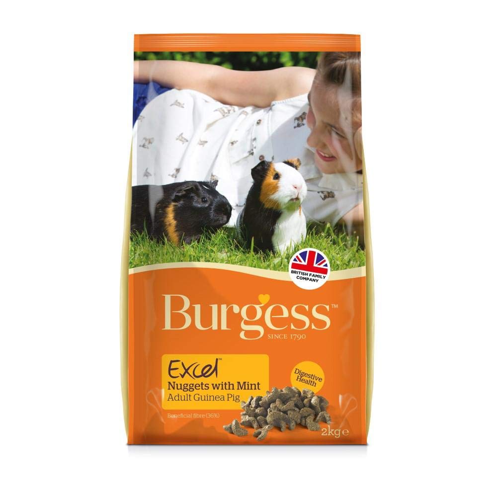burgess guinea pig