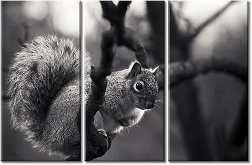 Miniatura 49 de 3 paneles de imágenes retro de cámara antigua, arte de pared sobre lienzo, pintura moderna para el hogar, decoración de pared, sala de estar, Obras