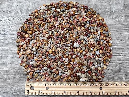 Image of GAF TREASURES 2 oz Lot Natural Crazy Lace Agate Semi Tumbled Gemstone Chips, Crushed Mini Crystals, Undrilled Crystal Chips (Crazy Lace Agate)