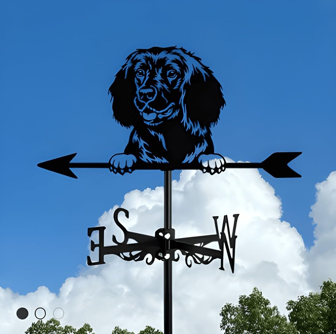 Weather Vane Metal Iron Witch and Dragon 2-in-1.Outdoor Roof Garden DecorationBasset Hound Home Crafts (Tibetan Mastiff)