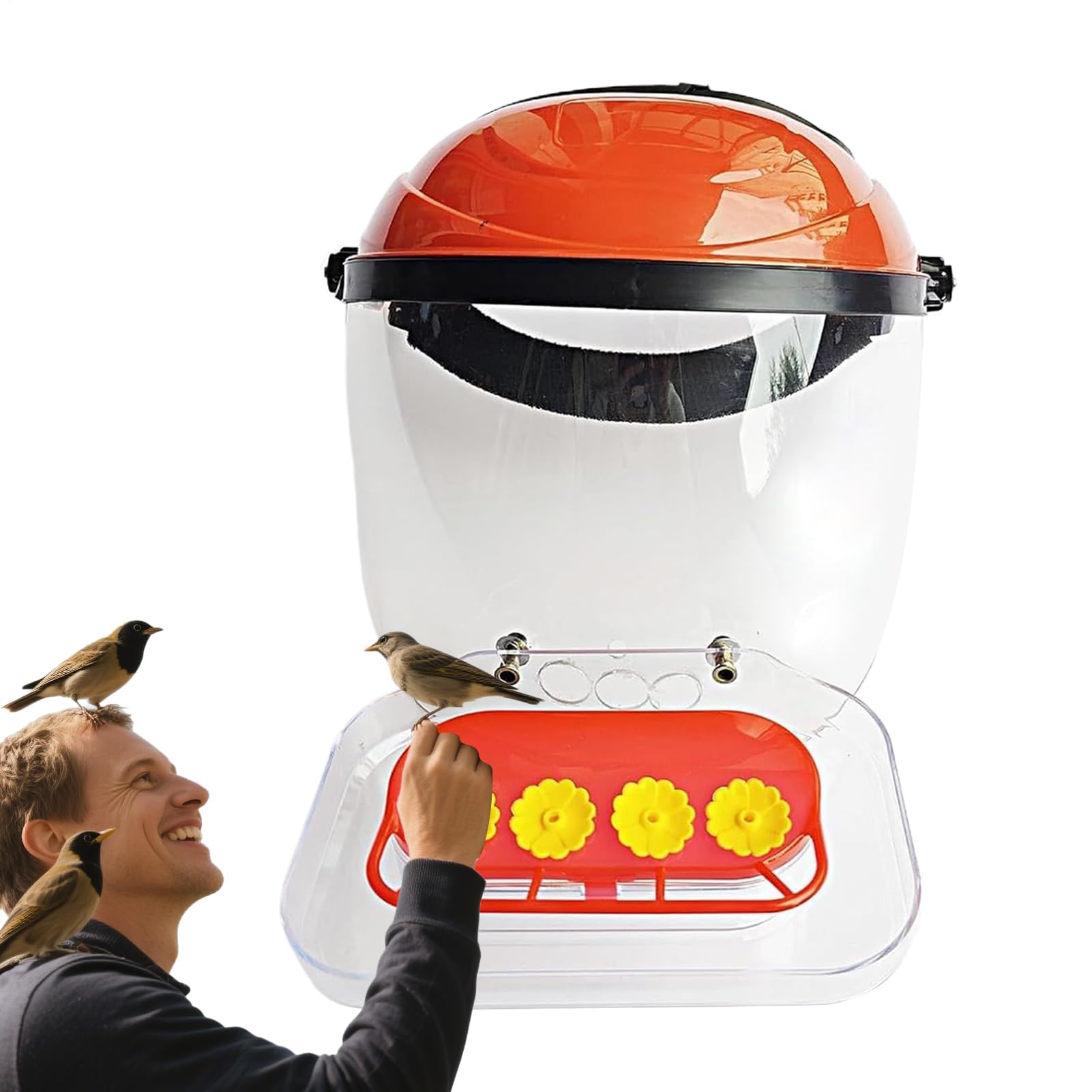 Mangeoire pour colibris de jardin pour observer les oiseaux depuis votre balcon