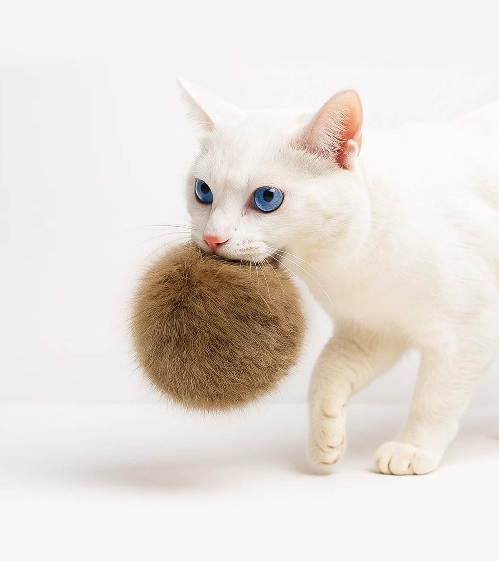 Amazon | HOLYCAT 猫 おもちゃ ボール 猫のおもちゃ コロコロ 天然 無