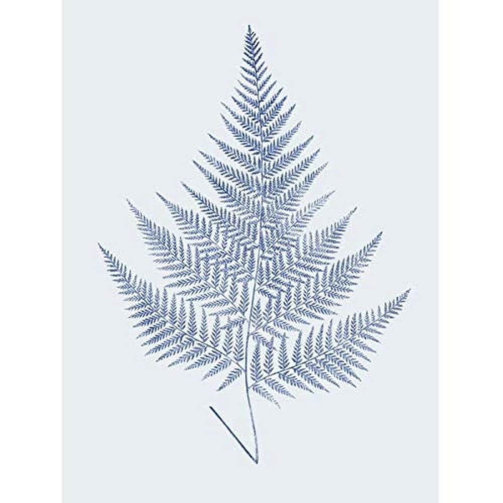 Wee Blue Coo Botanics Cobalt Fern Eppusum Art Print Canvas Premium Wall Decor Poster