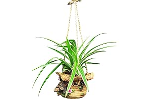 Hang-A-Hedgie's Kelendle Hanging Basket