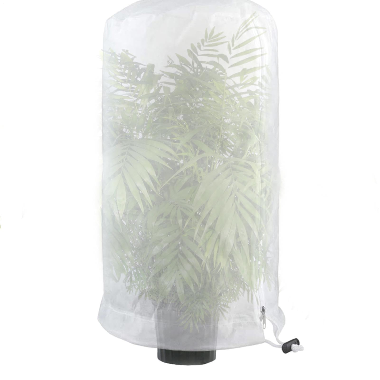 Frost Protection for Plants, Winter Protection for Plants, Plants
