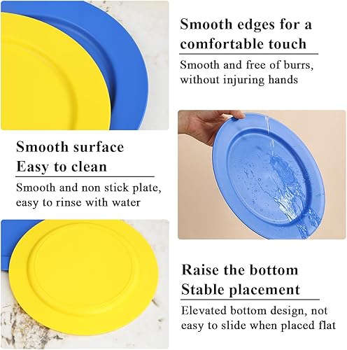 Miniatura 9 de Berglander UKR - Juego de 12 platos de plástico de 10 pulgadas, platos planos reutilizables e irrompibles, platos de ensalada, cuencos para pasta,