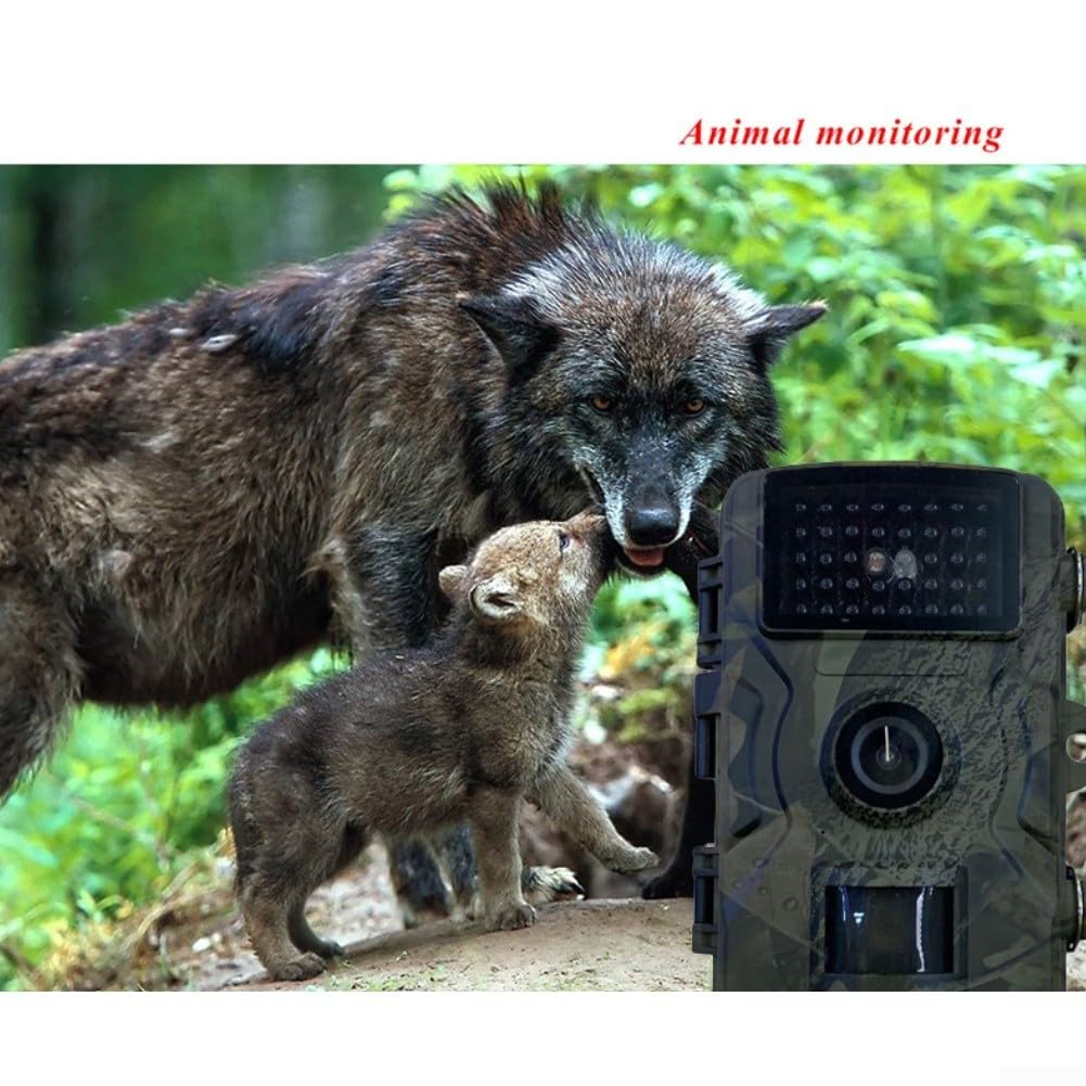 Wildlife Trail Camera 12MP Foto 1080P Video, No-Glow 940nm Night Vision, 0.8s Trigger, 15m PIR Detection per sorveglianza esterna