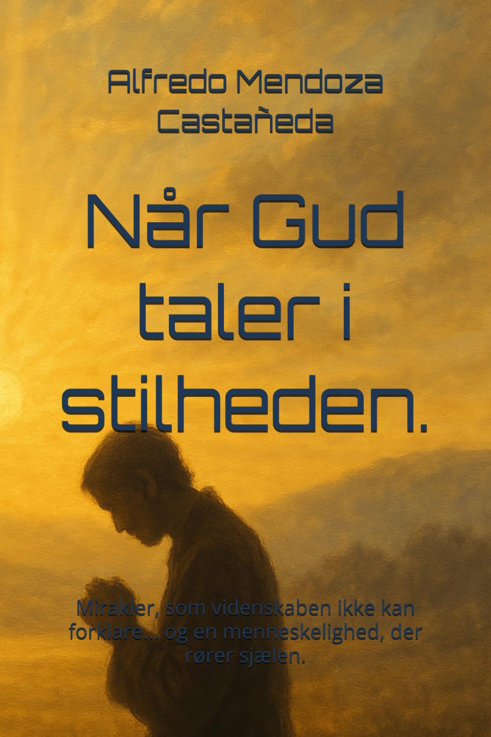 Når Gud taler i stilheden.: Mirakler, som videnskaben ikke kan forklare... og en menneskelighed, der rører sjælen.