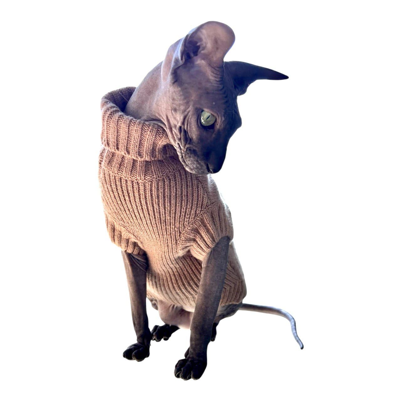 Musgo moca de cuello alto de gato, 100 % cachemira para esfinge y gatos desnudos (pequeño)