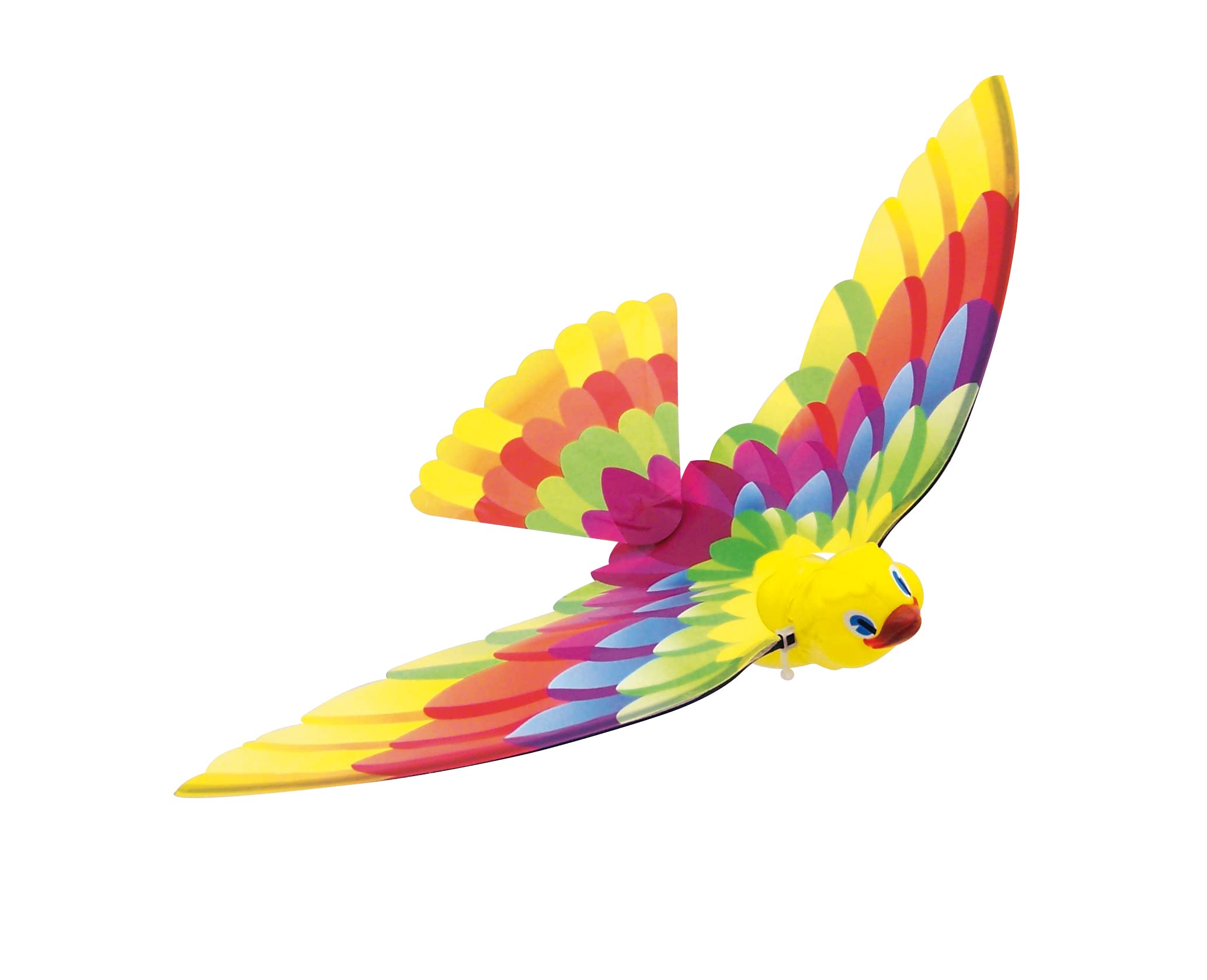 Caly 102F TIMMY Bird