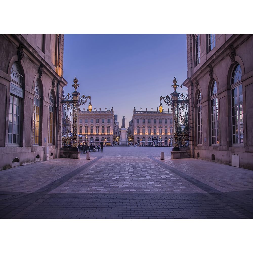Rompecabezas 2000(100x70cm) monedas, El Monumento Arquitectónico de la Ciudad Francesa Nancy Stanislas Square Puzzles, Recuerdos de Viaje Regalos Juguetes