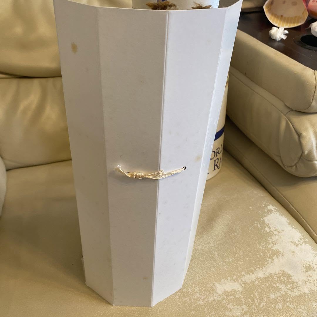 【紙箱入】 ピーターラビット 吉徳 モヘア Amazon.co.jp: ピーターラビット 100周年記念 モヘア ぬいぐるみ