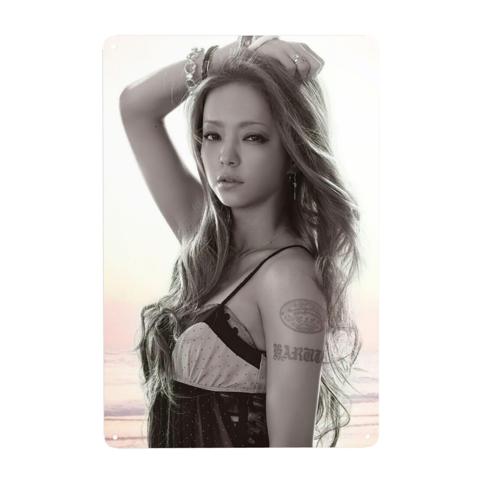 Amazon.co.jp: 安室奈美恵 メタルプレート ブリキの絵 ブリキ看板 壁の