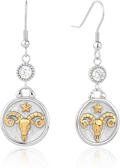 Two Tone 12 Zodiac Earrings Pearly White Enamel Round Disc Constellation Horoscope Dangle Earrings Gold Zodiac Sign Jewelry Birthday Gift for Women