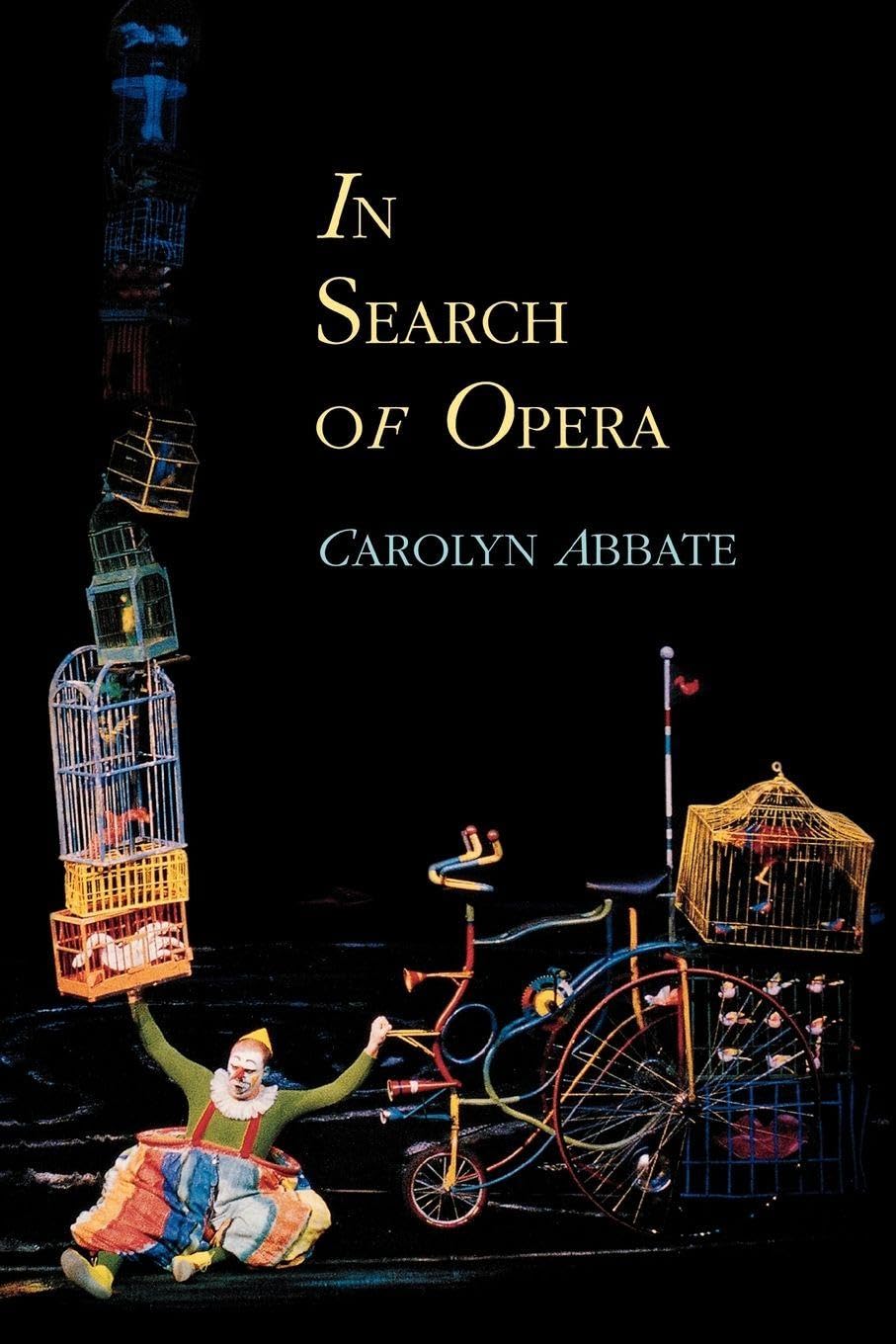 In Search of Opera by Carolyn Abbate - 9780691117317