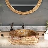 IMPORTS PACIFIC Petrified Wood Fossil Stone Vessel Sinks - Handcrafted Bathroom Basin, Countertop Vanity, Unique Shapes and Color Tones, Easy Installation (Brown)