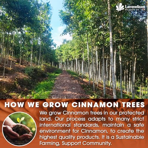 Image of Lavendium, Premium 20 Pure Cinnamon Tea Bags, 100% Natural Ceylon Cinnamon, Made with Natural Corn Fiber Tea Bags, No Additives or Preservatives, Caffeine-Free, Perfect for Daily Herbal Tea