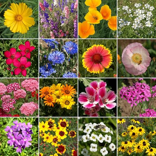 Image of Ferry-Morse Knee-High Bulk Wildflower Seeds, 440,000+, 1 lb