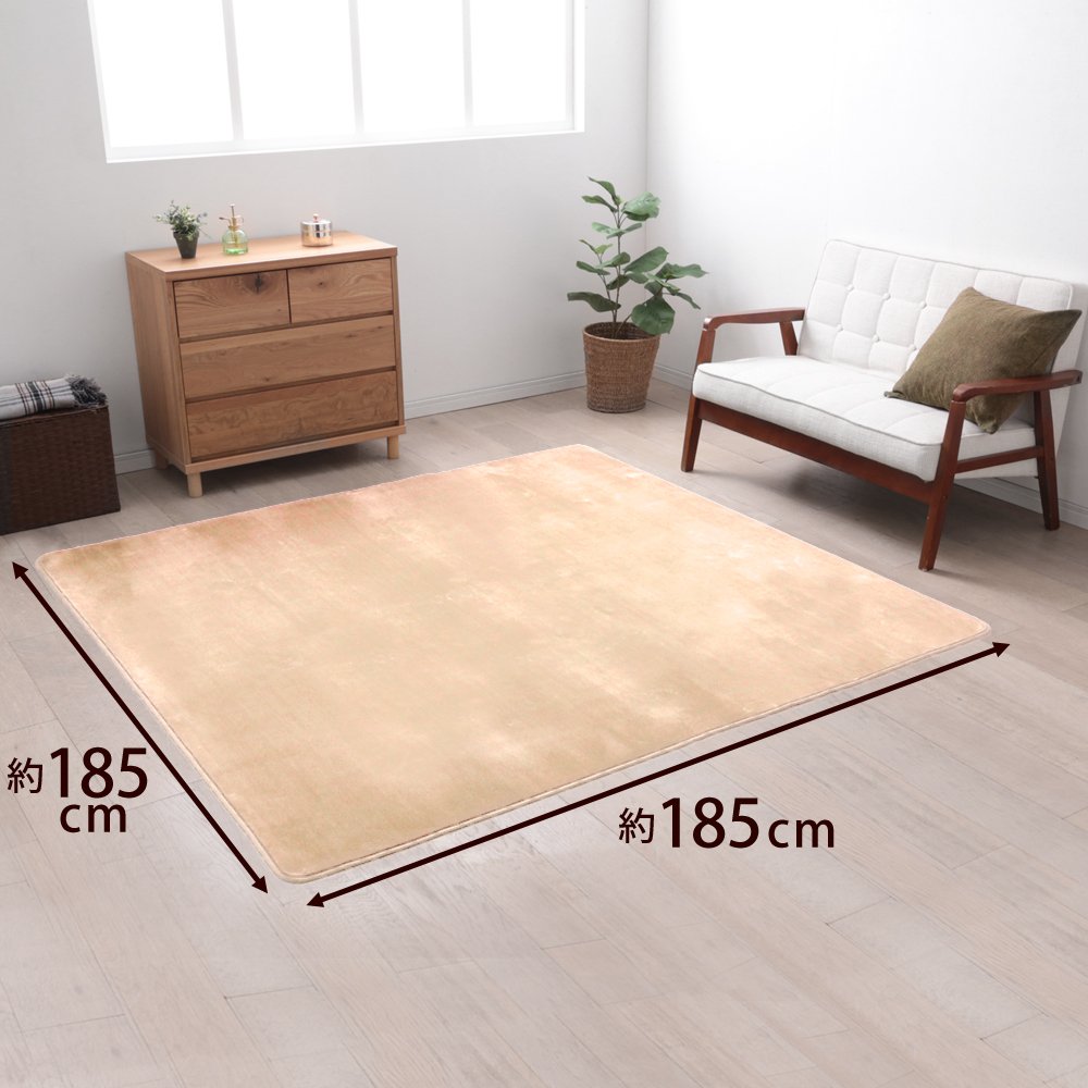 Amazon｜アイリスプラザ カーペット ラグ 洗える ラグカーペット