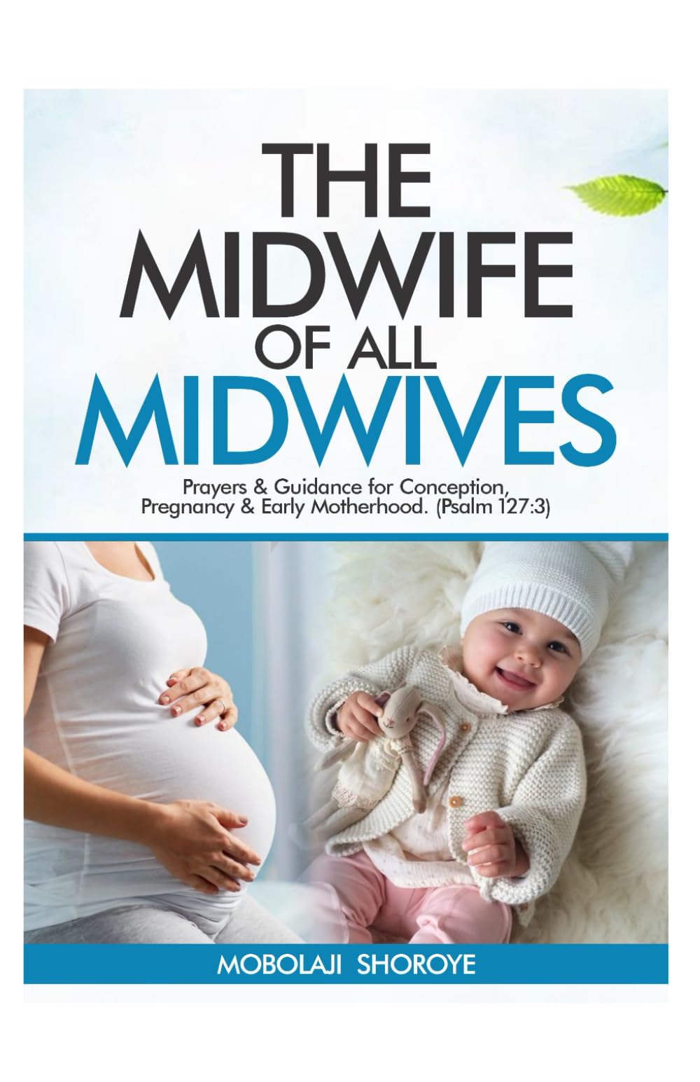 The Midwife of All Midwives: Prayers & Guidance for Conception, Pregnancy & Early Motherhood