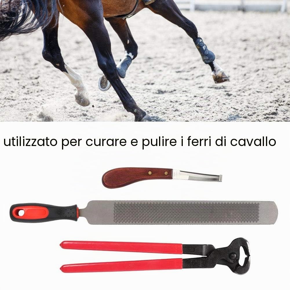 Set di tagliaunghie per raspa Strumenti da Maniscalco, Pinza per Zoccoli, per Asini Cavalli Large Medium