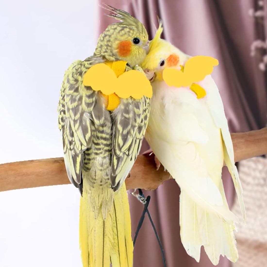 WeddHuis 1 pz Pettorina e Guinzaglio Regolabile per Pappagalli - Corda da Allenamento per Volo all'Aperto (Giallo)
