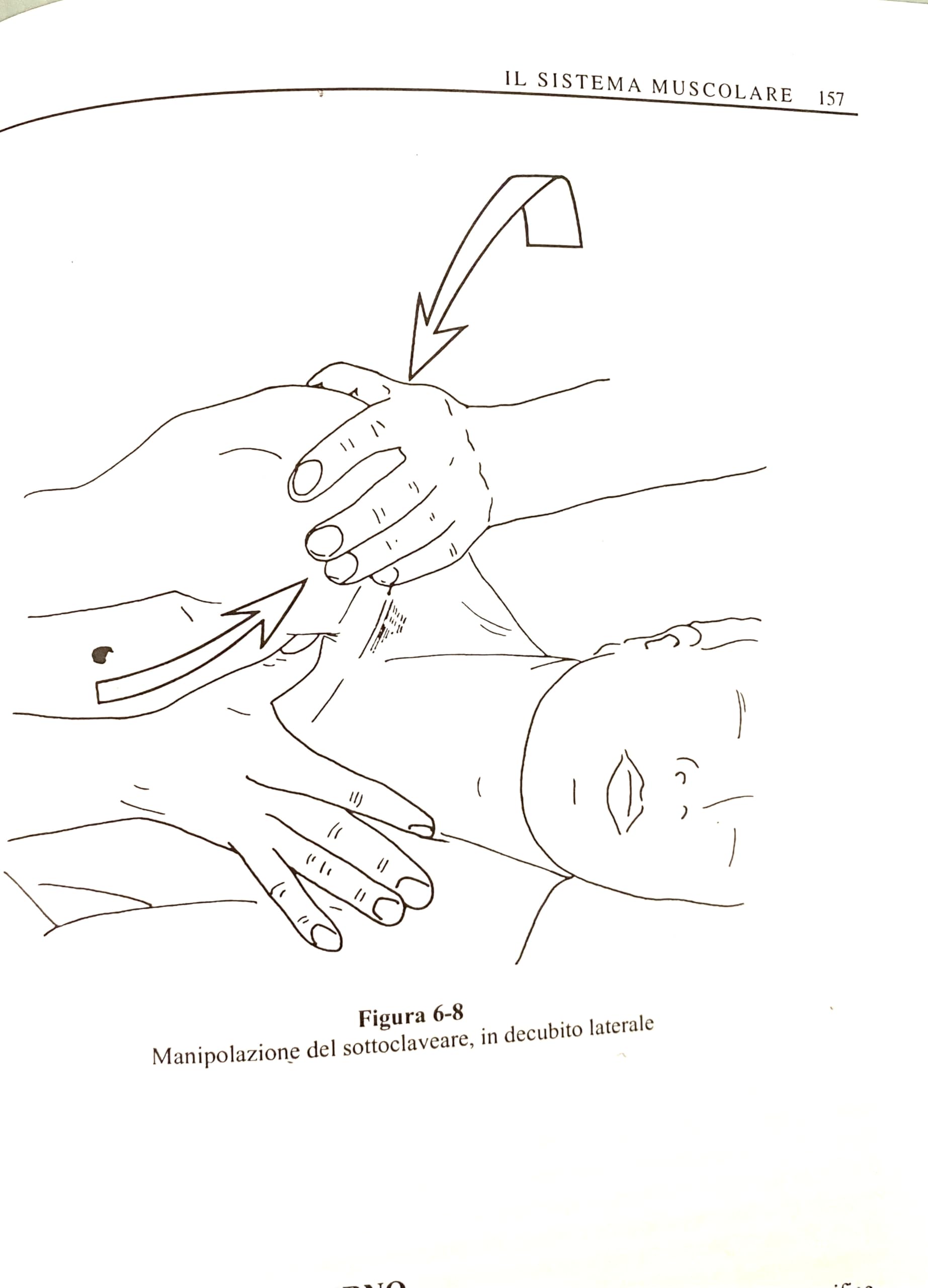Il torace | Manuale specialistico di osteopatia dedicato alla valutazione e al trattamento del torace