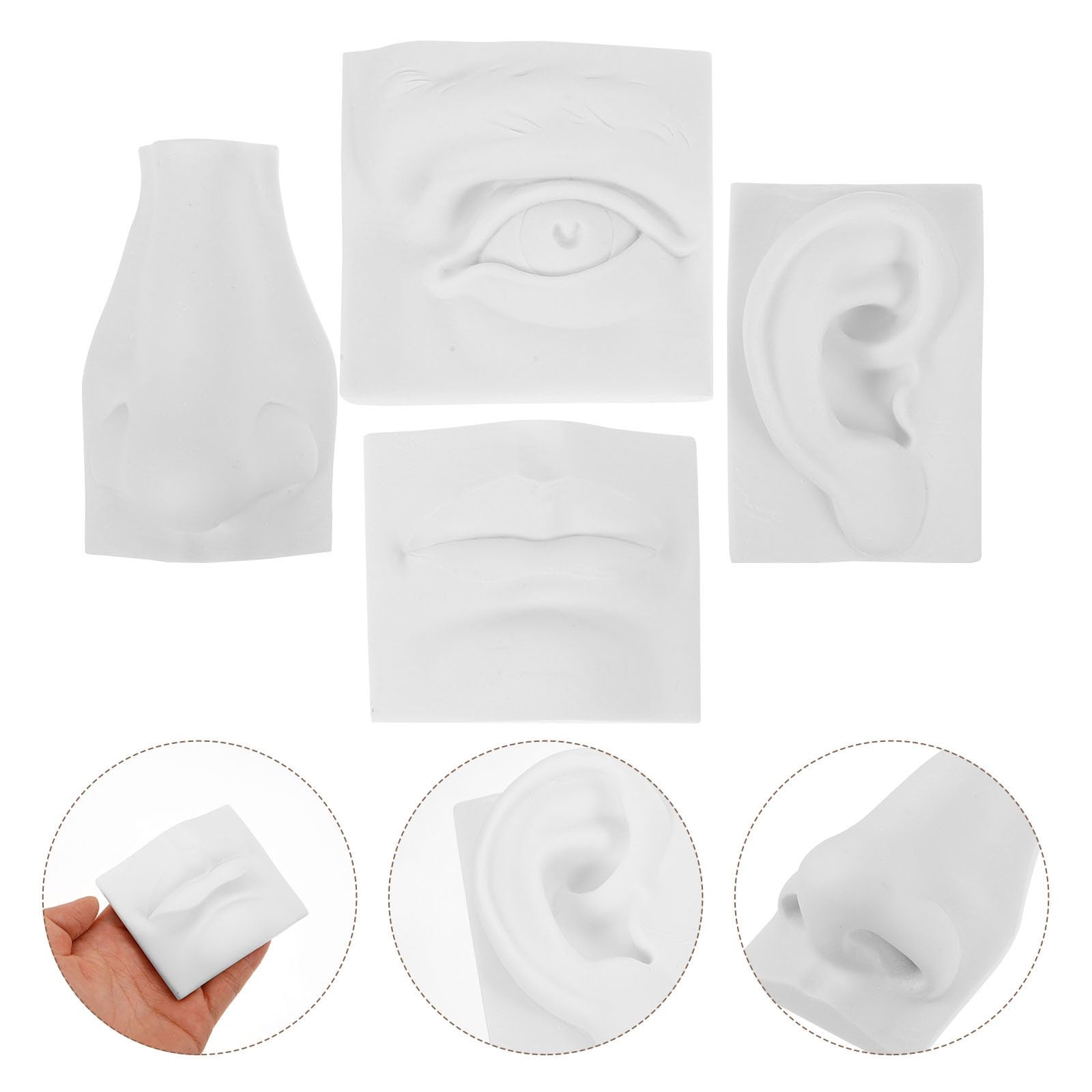 Balacoo Modèle de Sculpture en Plâtre Pratique de Dessin pour Traits du Visage Léger et Créatif Ornement Décoratif en Gypse Blanc et Décoration Intérieure