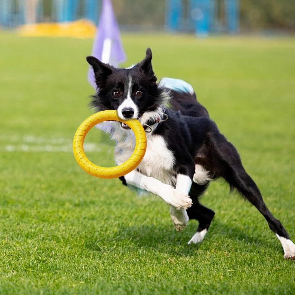 EVA Zabawka dla psa Duży pies Border Collie Molowy pierścień treningowy Pierścień do ciągnięcia Zabawka Piłka Interaktywne Frisbee