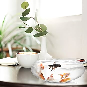 Amazon.co.jp: ガラス 花瓶 ボウル 2個 花 花瓶 丸型 テラリウム