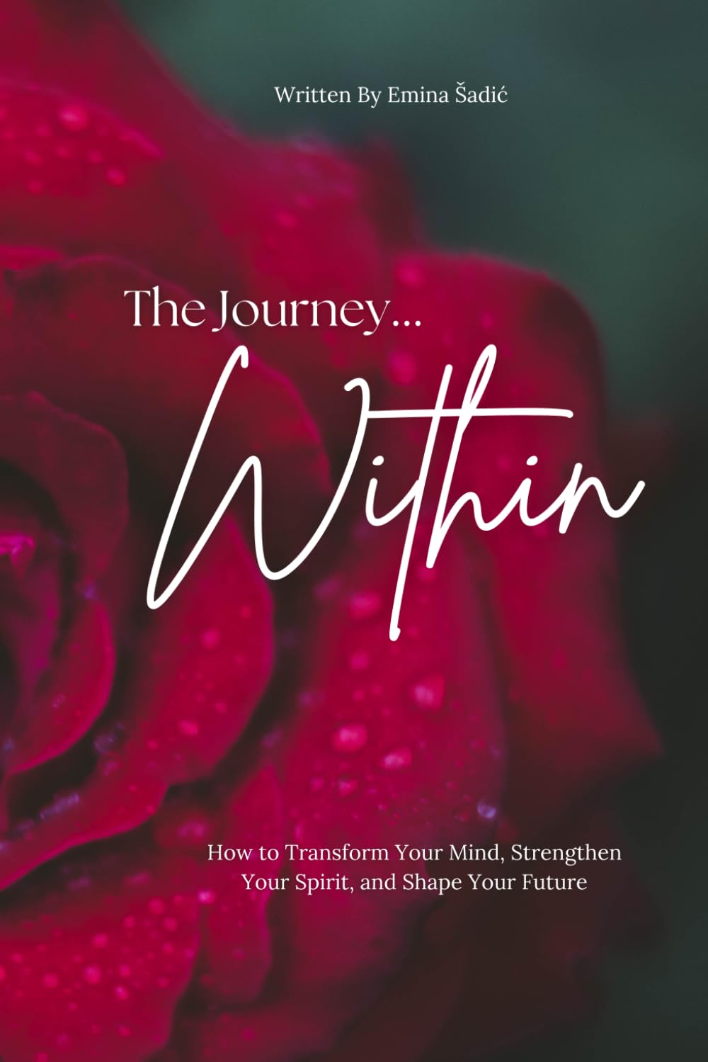 The Journey Within: How to Transform Your Mind, Strengthen Your Spirit, and Shape Your Future