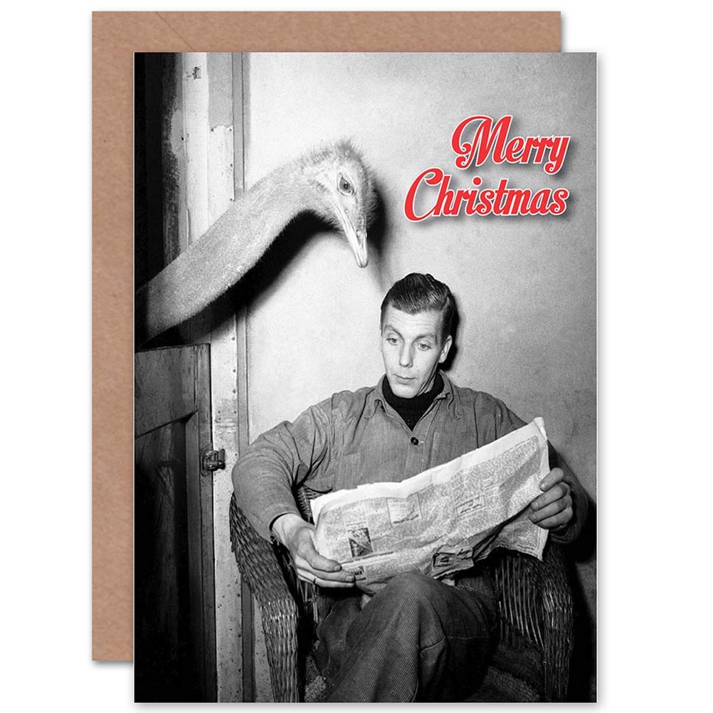 Alternative Christmas Xmas Ostrich Reading News Funny Blank Greeting Card