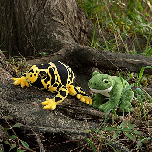 lilizzhoumax Grün Frosch Kuscheltier 12cm/5”, Simuliertes Tier Frosch Plüschtier, Kawaii Kuscheltier Frosch, Realistische Frosch Plüschspie Spielzeug für Wilde Tiere, Geschenk für Freunde und Kinder