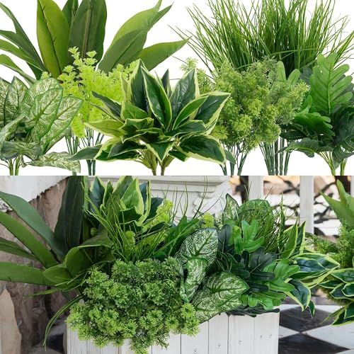 monstera constellation Monstera Thai Constellation – Rare Tropical Plant with Unique Variegation –  17 cm Pot Size – Plantlovers