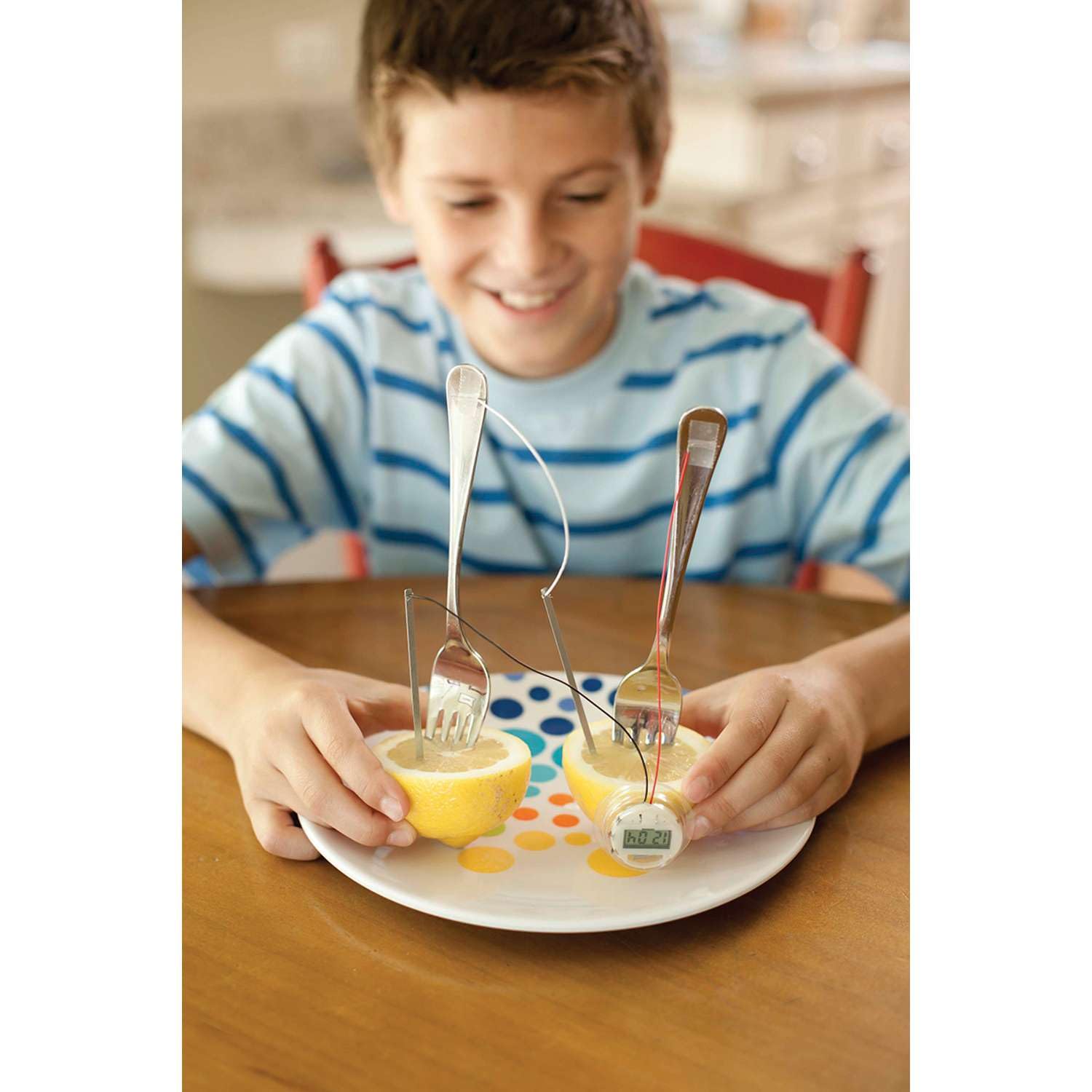 Fun Lab Clock Lemon Clock Kit