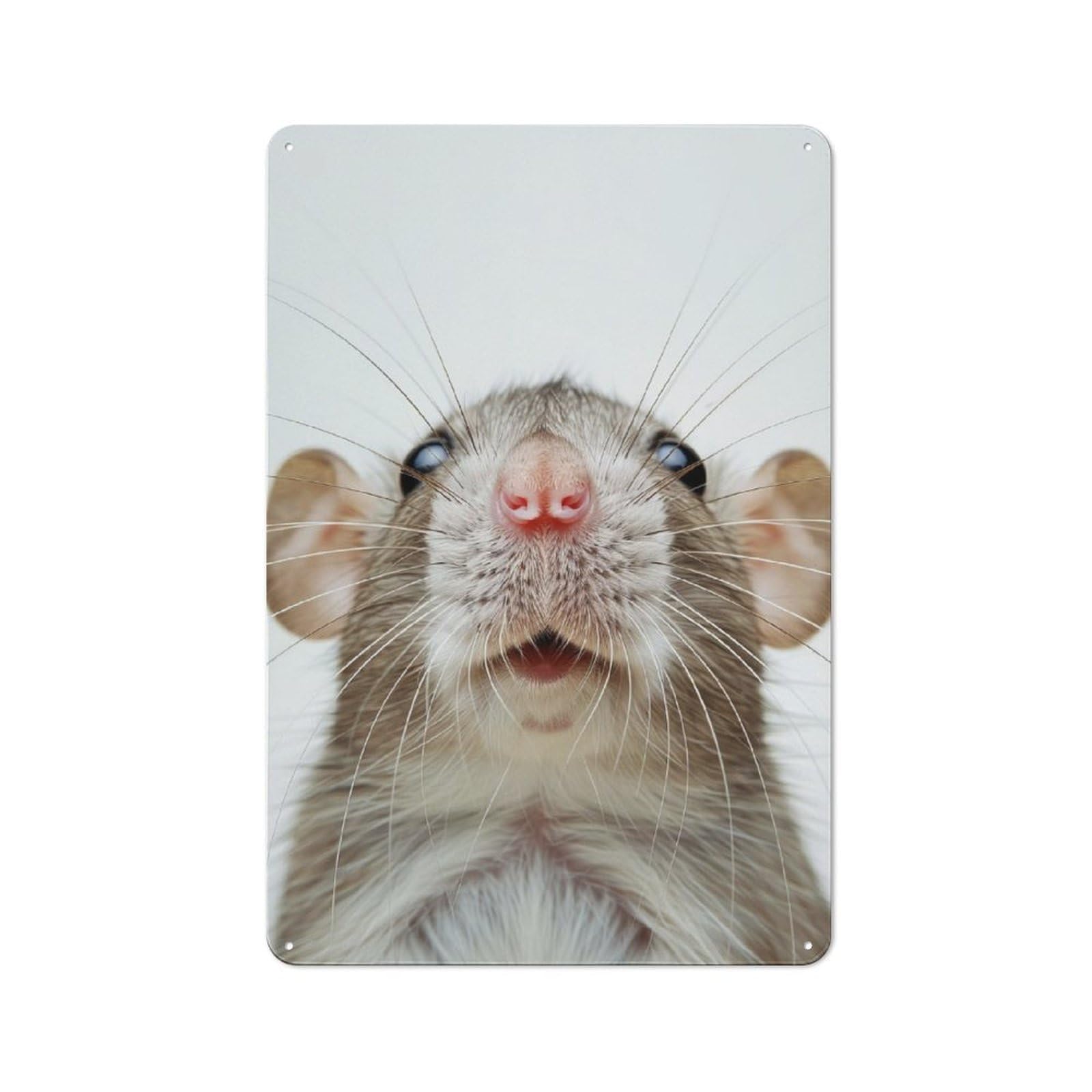 Rat Face Retro Metal Wall Decor 30x20cm, Metal Wall Art Sign for Living Room, Hallway, Kitchen Or Cafe