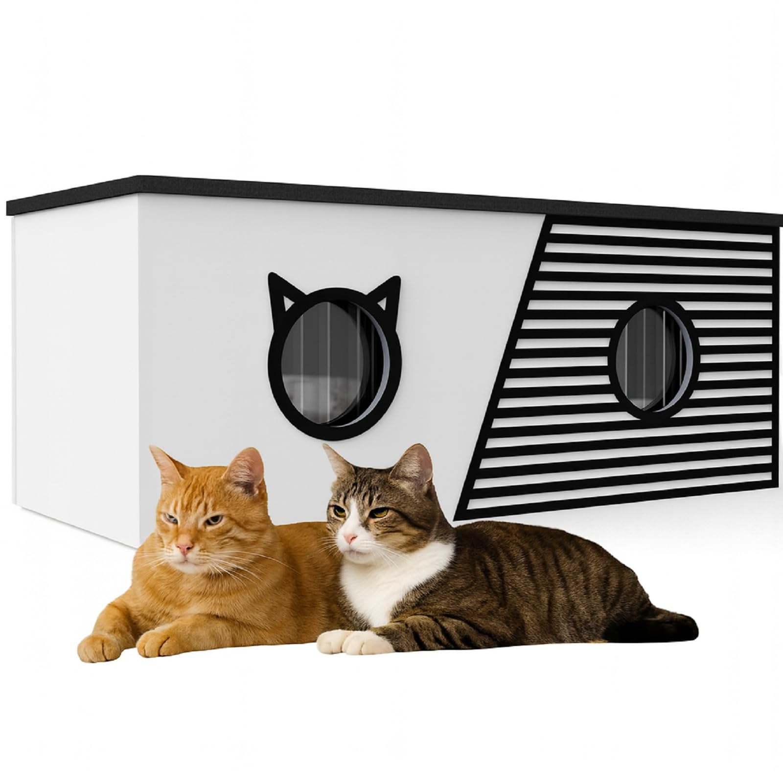 QLS Casetta per gatti XXL, 85 x 45 x 37,5 cm, resistente alle intemperie e isolata con tenda protettiva, tetto apribile e fondo OSB, per fino a 4 gatti all'aperto (bianco)