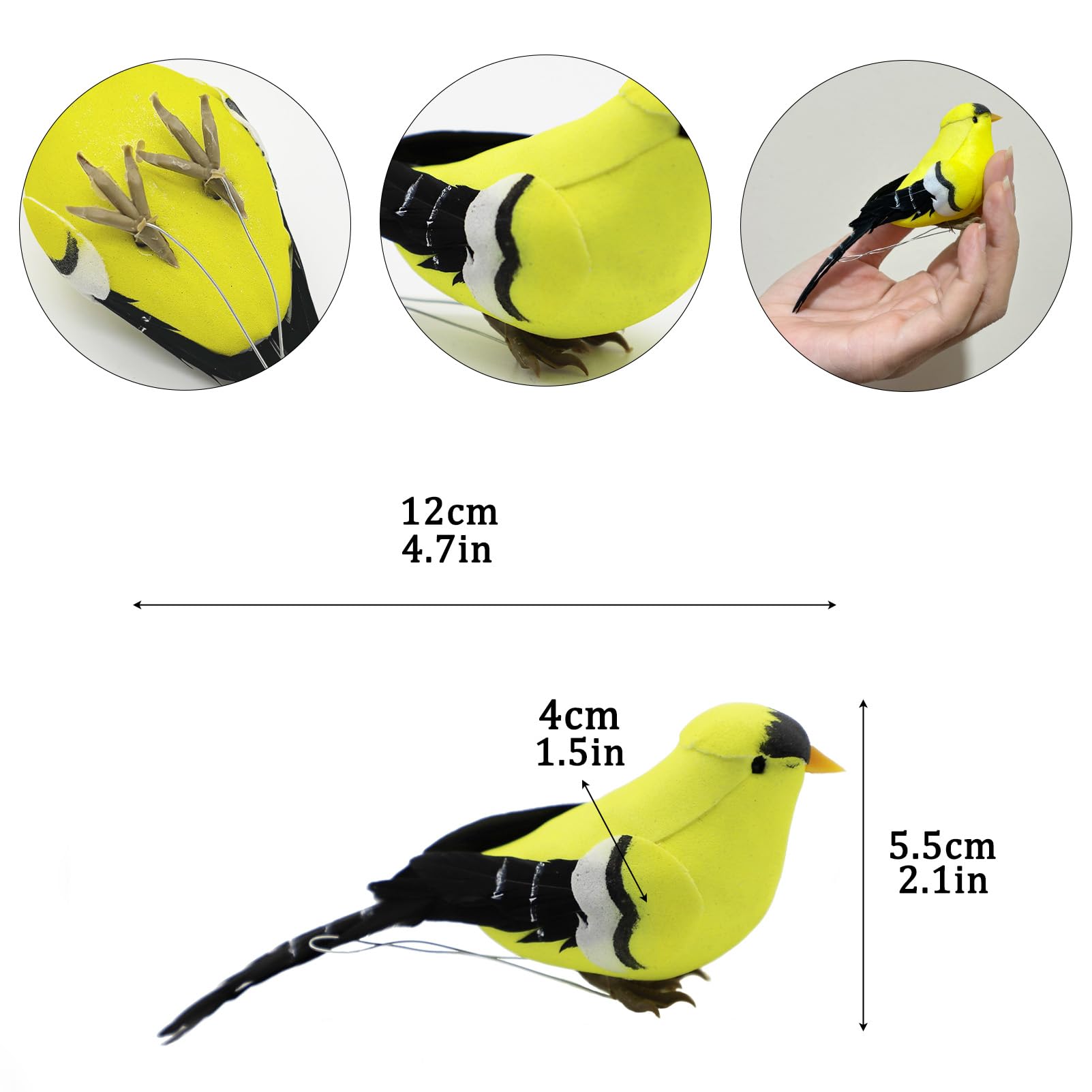 Amazon.com: LWINGFLYER American Yellow Goldfinch Realistic