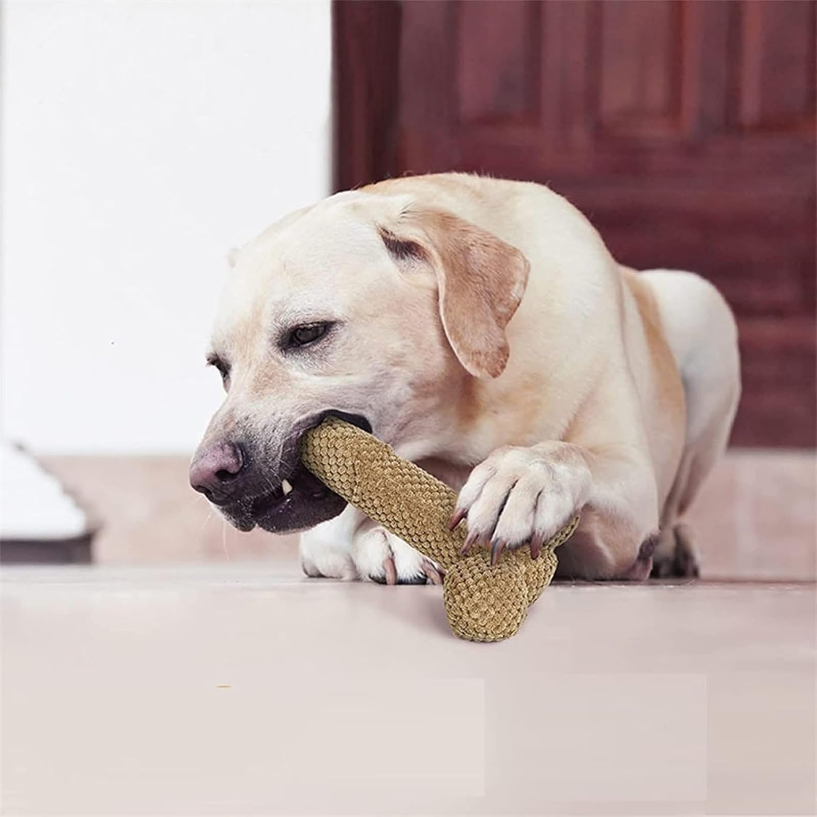 Psyfwznkny Penis Bone Indestructible Dog Toy, Durable Sexy Stuffed